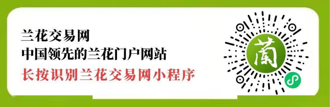 皇冠信用盘会员开户_第一重礼：以兰养兰申请普通卖家优惠福利活动